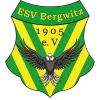 ESV Bergwitz (A)